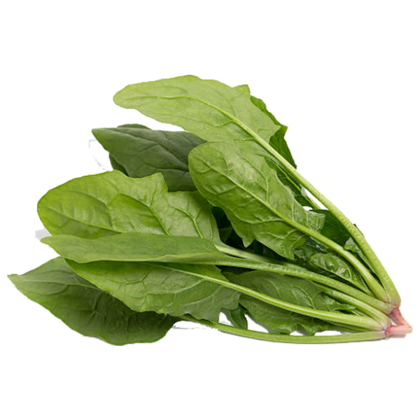 Cải bó xôi (Rau bina) VietGAP